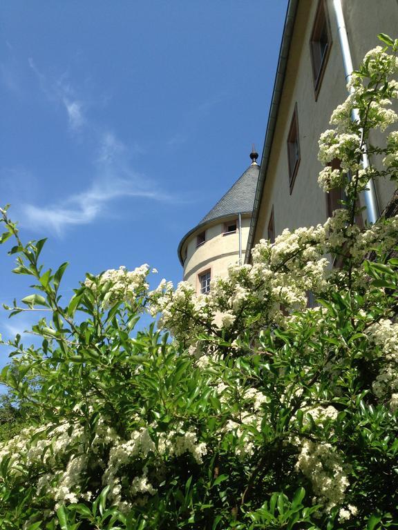 فندق Ev.Familienferien-Und Bildungsstaette Ebernburg Bad Münster am Stein-Ebernburg المظهر الخارجي الصورة